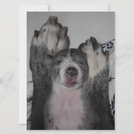 グレートダン誕生日招待状 招待状