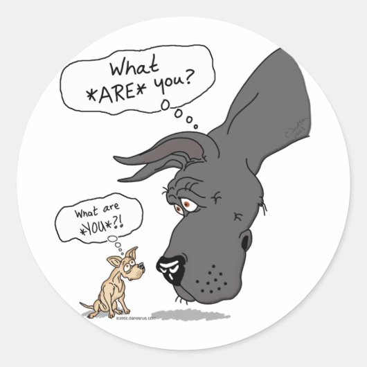 グレートダン&チワフアブラック ラウンドシール (正面)