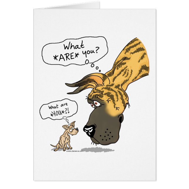 グレートダン&チワフアブリンドル (正面)