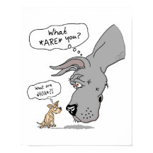 グレートダン&チワフアブルー