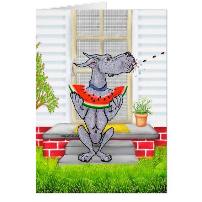 グレートダンSPITブルー (正面)