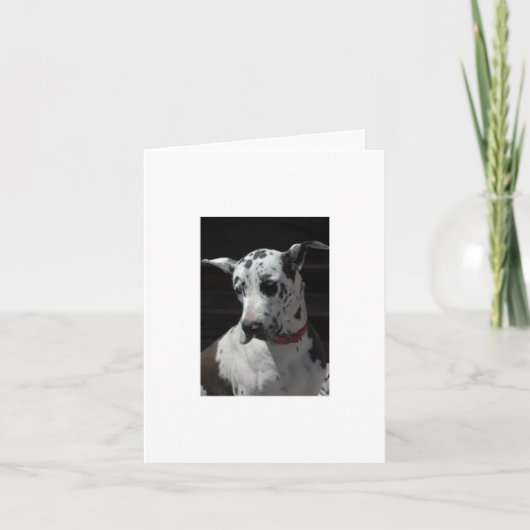 グレートダーネカードすべての行事 カード (正面)