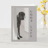 グレートダーネペットドッグユーモア幸運おもしろい カード (黄色い花)
