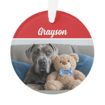 グレートダーンドッグの名前ホリデーフォトクリスマス