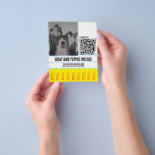 グレートダーンパピーズ販売フライヤー チラシ (手)