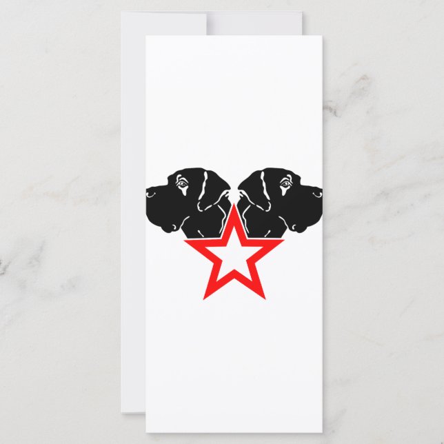 グレートデイネスターヘッド (正面)