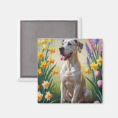 グレートデンの犬と春の花の絵画 マグネット (正面/裏面)