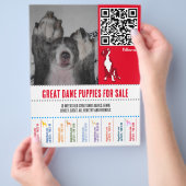 グレートデンまたは犬の子犬チラシ チラシ (手)