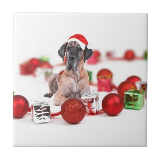 グレートデン犬とクリスマスオーナメントのギフト タイル (正面)