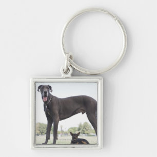 グレートデーンおよび小さい混合され品種犬 キーホルダー