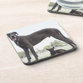 グレートデーンおよび小さい混合され品種犬 コースター (左側)