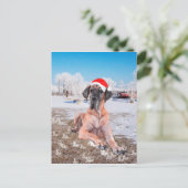 グレートデーンのクリスマス シーズンポストカード (スタンド正面)