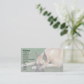 グレートデーンの休息 名刺 (スタンド正面)