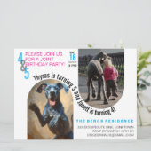 グレートデーンの共同誕生日招待状 招待状 (スタンド正面)
