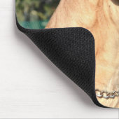 グレートデーンの写真のマウスパッド マウスパッド (コーナー)