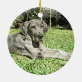 グレートデーンの子犬のオーナメント セラミックオーナメント (裏面)