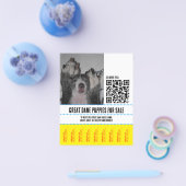 グレートデーンの子犬販売チラシ チラシ (シングル)
