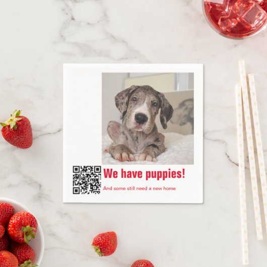 グレートデーンの子犬販売中 スタンダードカクテルナプキン (インサイチュ)