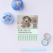 グレートデーンの子犬販売中 チラシ (シングル)