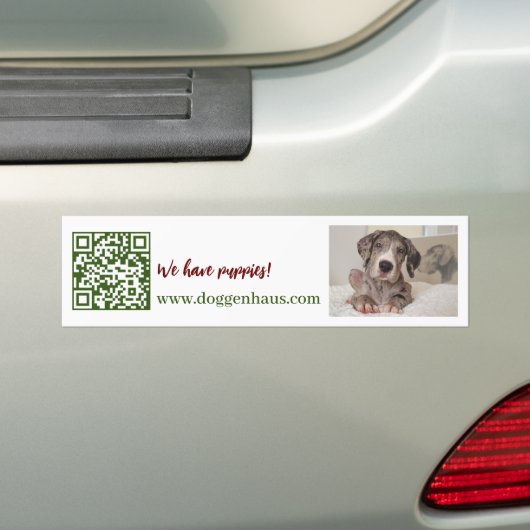 グレートデーンの子犬販売中 バンパーステッカー (車上)