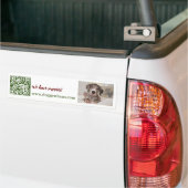 グレートデーンの子犬販売中 バンパーステッカー (トラック上)