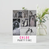 グレートデーンの招待状 招待状 (スタンド正面)