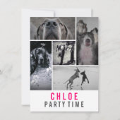 グレートデーンの招待状 招待状 (正面)