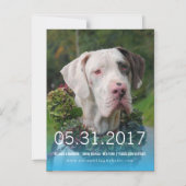 グレートデーンの招待 マグネット招待状 (正面)