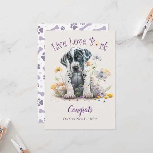 グレートデーンの犬の里親募集、ガットチャデイ カード (正面/裏面インサイチュ)