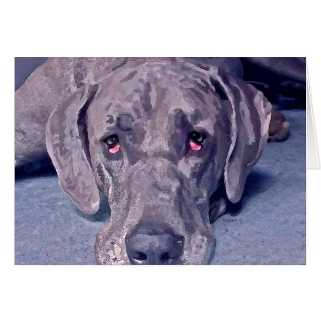 グレートデーンの英雄 (正面横)