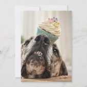 グレートデーンの誕生日フラットカード 招待状 (裏面)