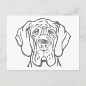 グレートデーンの頭の絵はがき ポストカード (正面)