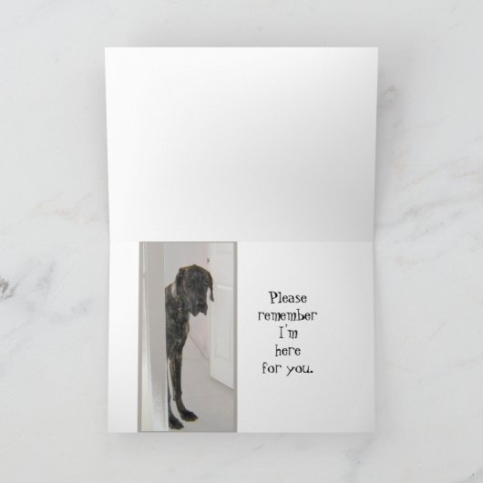 グレートデーンの飼い犬はあなたの損失エリマキシギです カード (内部)