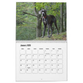 グレートデーンカレンダー カレンダー (1月 2026)