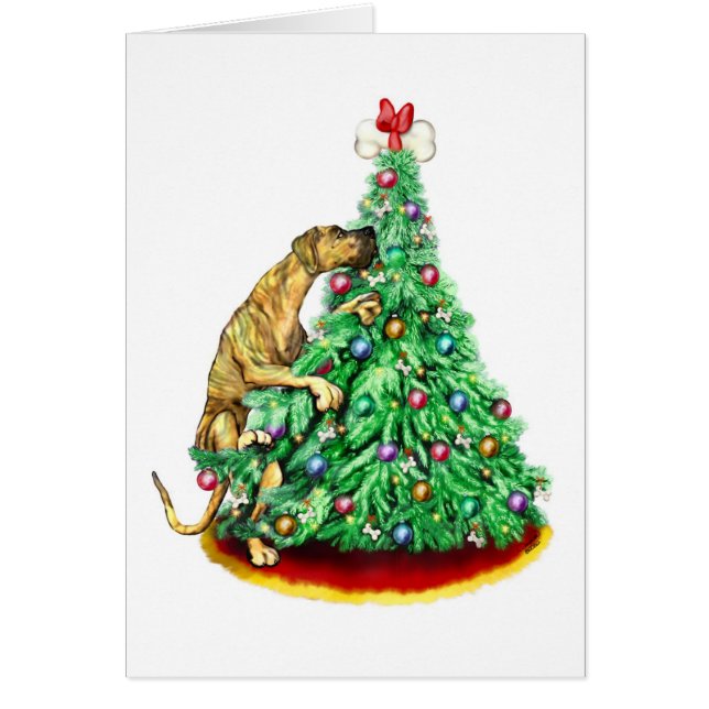 グレートデーンクリスマスリーチゴールブリンドルUC (正面)