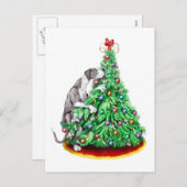 グレートデーンクリスマスリーチゴールマントルUC シーズンポストカード (正面/裏面)