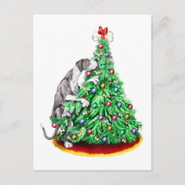 グレートデーンクリスマスリーチゴールマントルUC シーズンポストカード