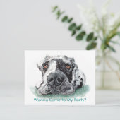 グレートデーンタップアップメルル 招待状 (スタンド正面)