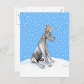 グレートデーントナディアクリスマスブラック シーズンポストカード (正面/裏面)