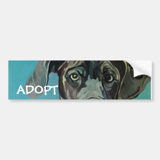 グレートデーン犬のバンパーステッカー バンパーステッカー (正面)