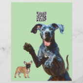 グレートデーン犬の散歩・ペットシッター チラシ (裏面)