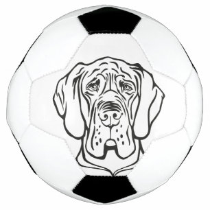 グレートデーン サッカーボール