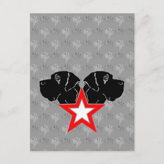 グレートデーン スター ヘッド ポストカード (正面)