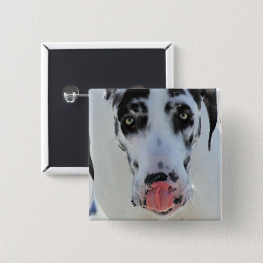 グレートデーン-道化師-は私の舌私の鼻に触れます 缶バッジ (正面&裏面)