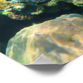 グレートバリアリーフのサンゴ - 2 ポスター (角)