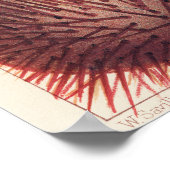 グレートバリアリーフの棘皮動物 ポスター (角)