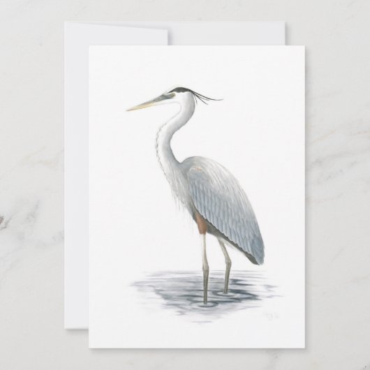 グレートブルーサギのご招待 招待状 (裏面)