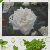 グレートレックス キッチンタオル (折り畳み)