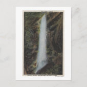 グレート・スモーキー山脈国立公園, テネシー州 ポストカード (正面)