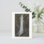 グレート・スモーキー山脈国立公園, テネシー州 ポストカード (スタンド正面)